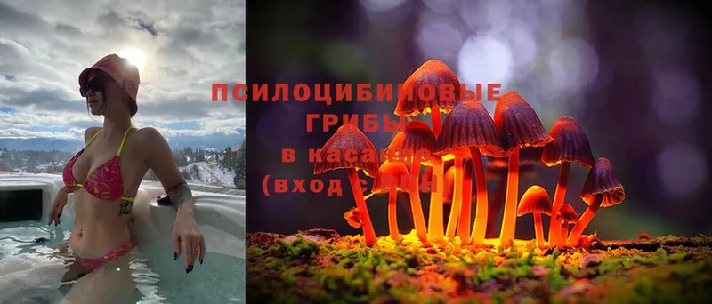 MEGA ссылка  Нижний Ломов  Галлюциногенные грибы мицелий  как найти закладки 